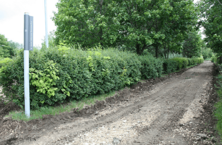 В рязанском парке Морской Славы началось благоустройство