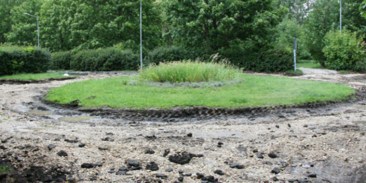 В рязанском парке Морской Славы началось благоустройство