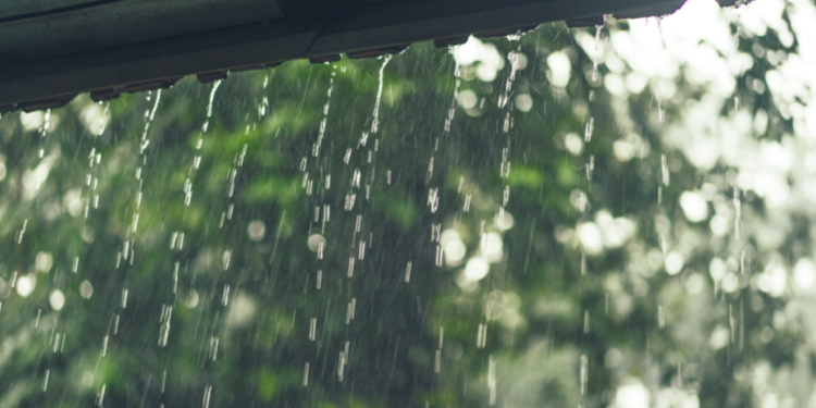 В среду в Рязанской области ожидается дождь, гроза и до +22 градусов