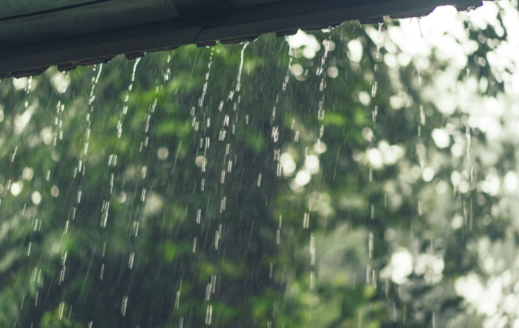 В среду в Рязанской области ожидается дождь, гроза и до +22 градусов