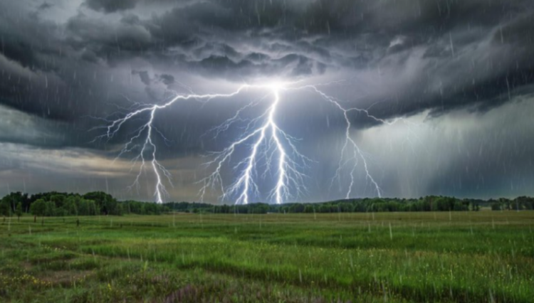 Синоптик Роман Вильфанд назвал причину резкого похолодания в Центральной России