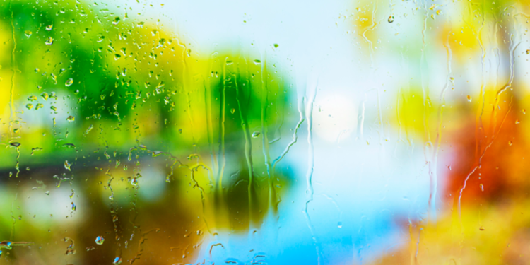 Метеоролог Тишковец: июль в Центральной России не будет жарким