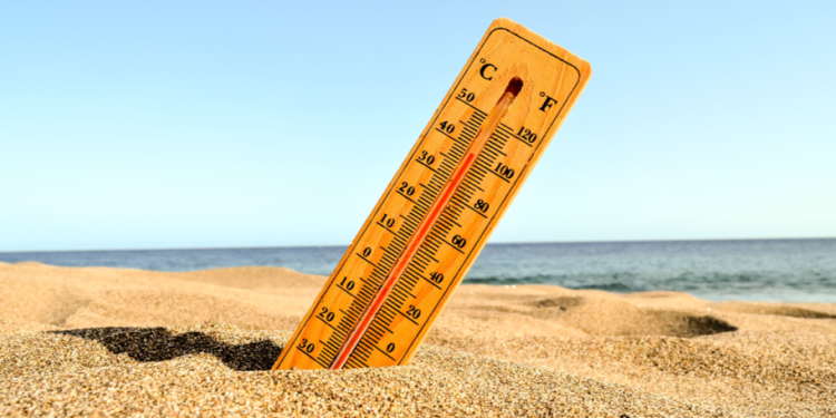 МЧС: 4 июля в Рязанской области ожидается до +32 градусов