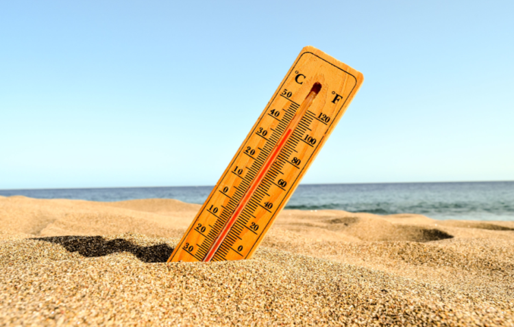 МЧС: 4 июля в Рязанской области ожидается до +32 градусов