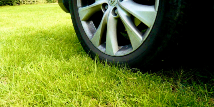 С начала 2025 года 5037 рязанских водителей-нарушителей оштрафовали за парковку на газонах