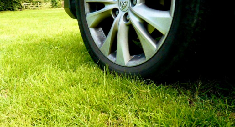 С начала 2025 года 5037 рязанских водителей-нарушителей оштрафовали за парковку на газонах