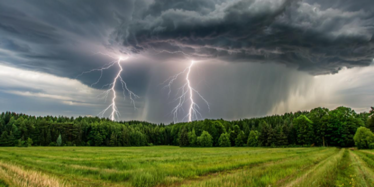 В субботу в Рязанской области ожидается гроза и до +24 градусов