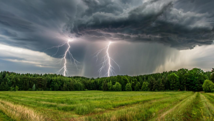 В субботу в Рязанской области ожидается гроза и до +24 градусов