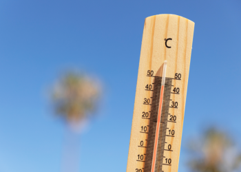 В среду в Рязанской области ожидается до +35 градусов В среду в Рязанской области ожидается до +35 градусов