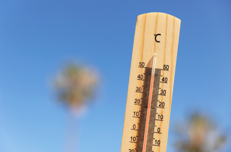 В среду в Рязанской области ожидается до +35 градусов