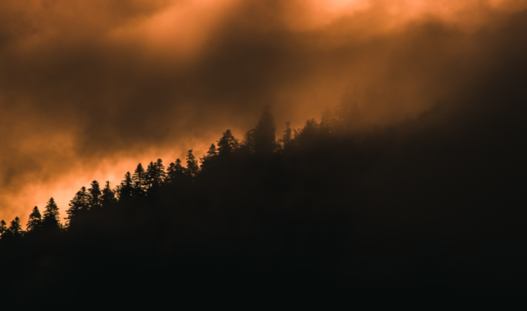 С 9 июля на территории Рязанского региона объявлен особый противопожарный режим