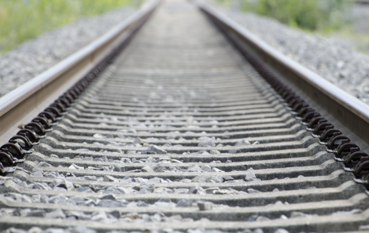 Названа дата подготовки обоснования для ВСМ от Москвы до Рязани