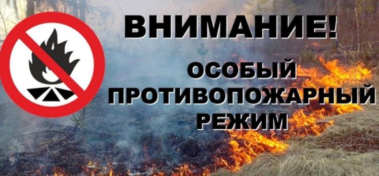 В Рязани установлен особый противопожарный режим