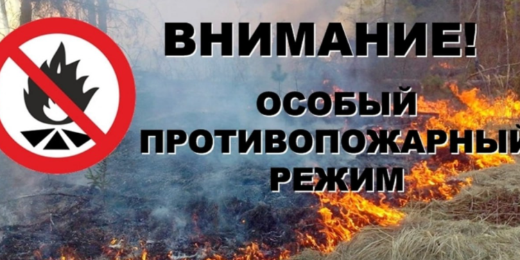 В Рязани установлен особый противопожарный режим