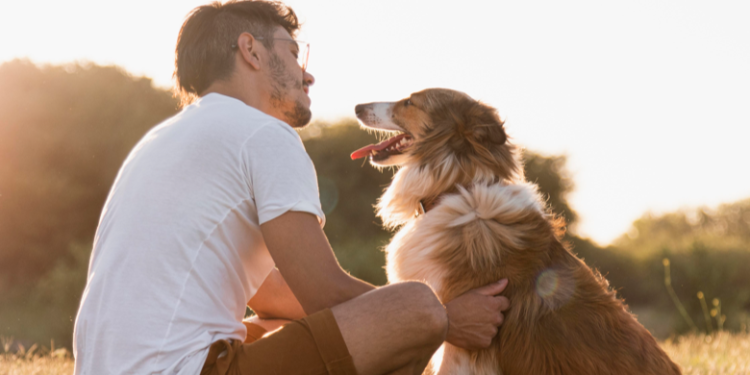 За первую половину 2025 года 18 животных отправились вместе с хозяевами в другие страны