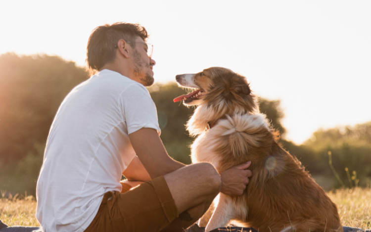 За первую половину 2025 года 18 животных отправились вместе с хозяевами в другие страны