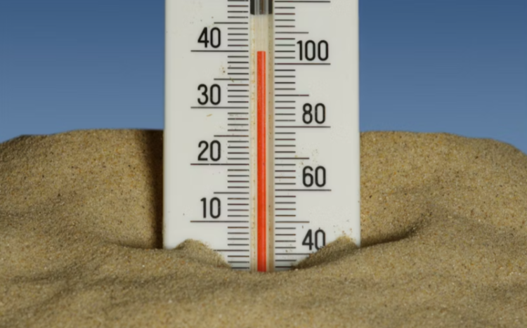 Синоптик Роман Вильфанд предупредил россиян об аномальной жаре