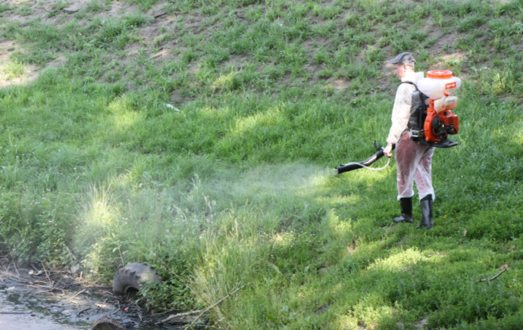 В Рязани обработают 28 городских водоемов от личинок комаров