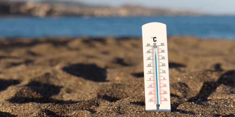 Синоптик Вильфанд: жара в Центральной России отступит уже с понедельника