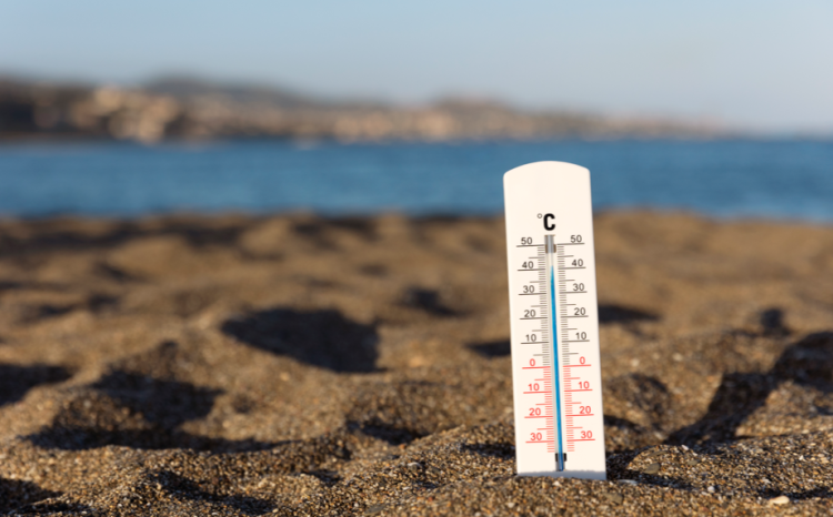 Синоптик Вильфанд: жара в Центральной России отступит уже с понедельника