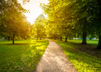 В 2026 году в Рязанской области пройдет благоустройство 26 общественных пространств В 2026 году в Рязанской области пройдет благоустройство 26 общественных пространств