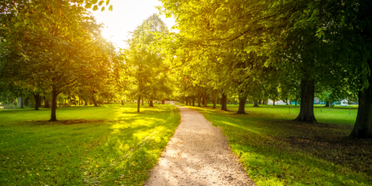 В 2026 году в Рязанской области пройдет благоустройство 26 общественных пространств В 2026 году в Рязанской области пройдет благоустройство 26 общественных пространств