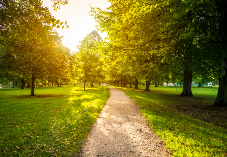 В 2026 году в Рязанской области пройдет благоустройство 26 общественных пространств