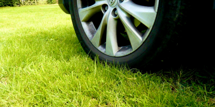 С начала 2025 года в Рязани за парковку на газонах оштрафовали 5205 водителей