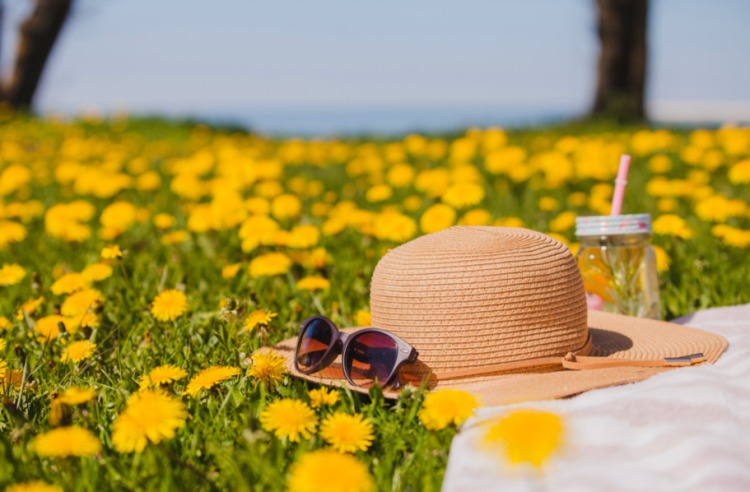 В субботу в Рязанской области ожидается небольшой дождь и до +37 градусов