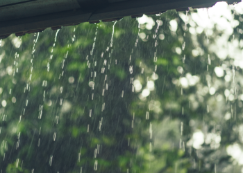 Тишковец рассказал о погоде, которая ждет россиян во второй половине июля