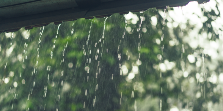 Тишковец рассказал о погоде, которая ждет россиян во второй половине июля