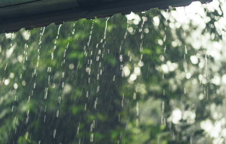 Тишковец рассказал о погоде, которая ждет россиян во второй половине июля