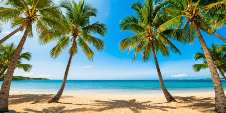 15 июля в Рязанской области сохранится 30-градусная жара