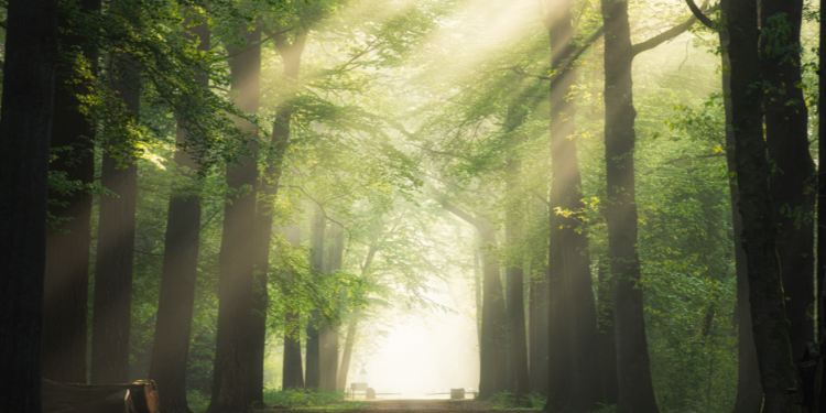 Трое рязанцев оштрафованы за нарушение особого противопожарного режима в регионе