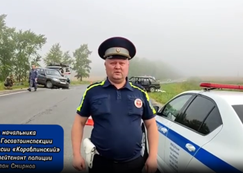 В ДТП в Старожиловском районе погиб 66-летний водитель на ВАЗ