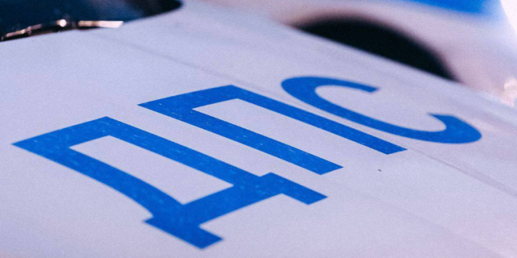 Рязанские полицейские проводят рейды по поиску машин с подложными номерами