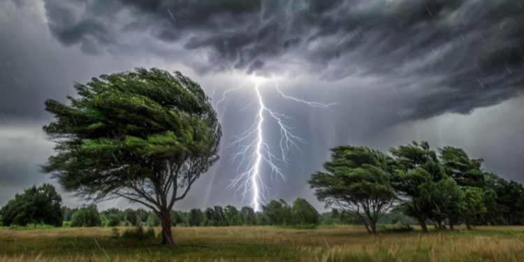 В четверг в Рязанской области ожидается дождь, гроза и до +28 градусов