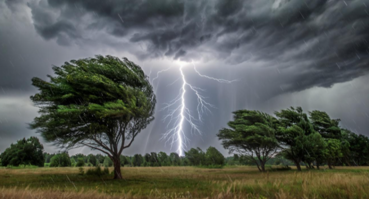 В четверг в Рязанской области ожидается дождь, гроза и до +28 градусов