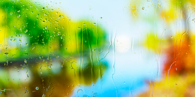 В субботу в Рязанской области ожидается дождь и до +30 градусов