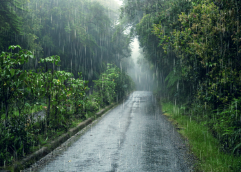 Синоптик Леус: на текущей неделе в Центральной России ожидаются дожди и грозы