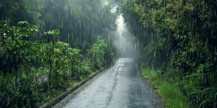 Синоптик Леус: на текущей неделе в Центральной России ожидаются дожди и грозы