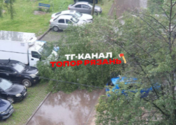 В Рязани на припаркованные автомобили упало дерево В Рязани на припаркованные автомобили упало дерево