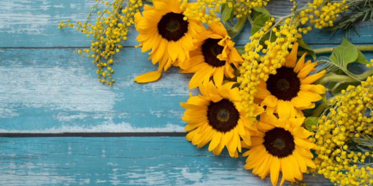 Август в Центральной России будет умеренно теплым