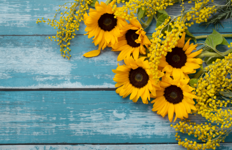 Август в Центральной России будет умеренно теплым