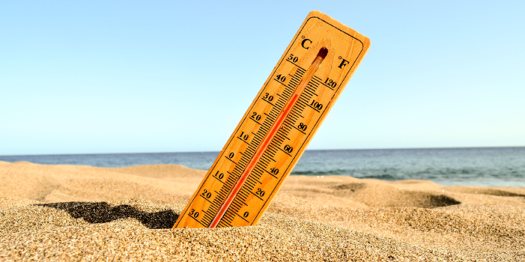 МЧС: 25 июля в Рязанской области ожидается 30-градусная жара