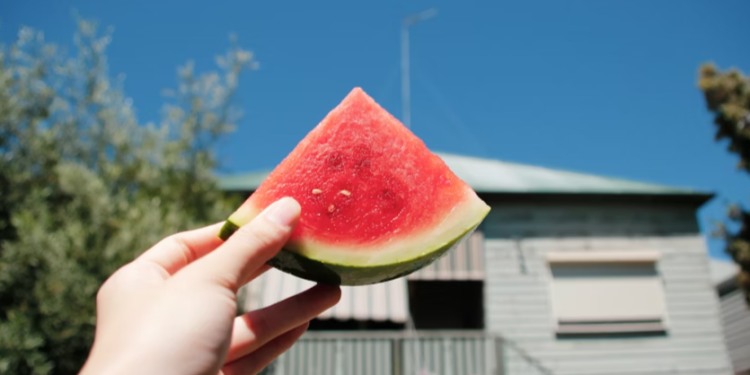 Метеоролог Тишковец: в последние июльские выходные россиян ожидает жаркая погода
