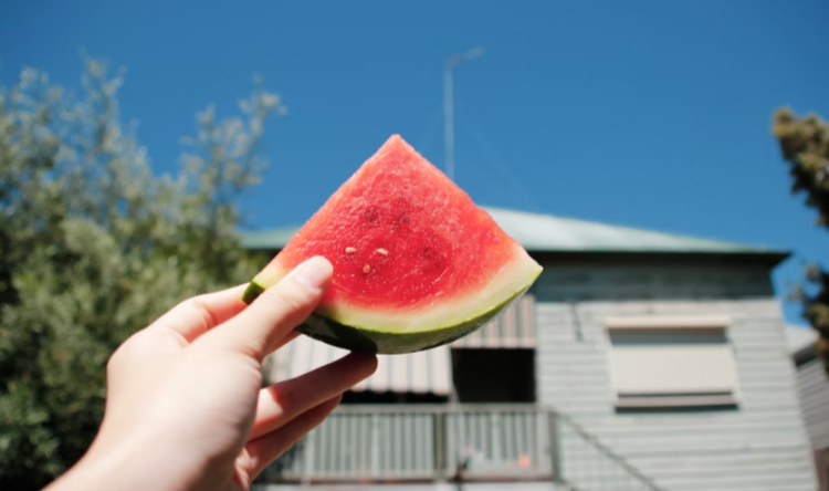 Метеоролог Тишковец: в последние июльские выходные россиян ожидает жаркая погода