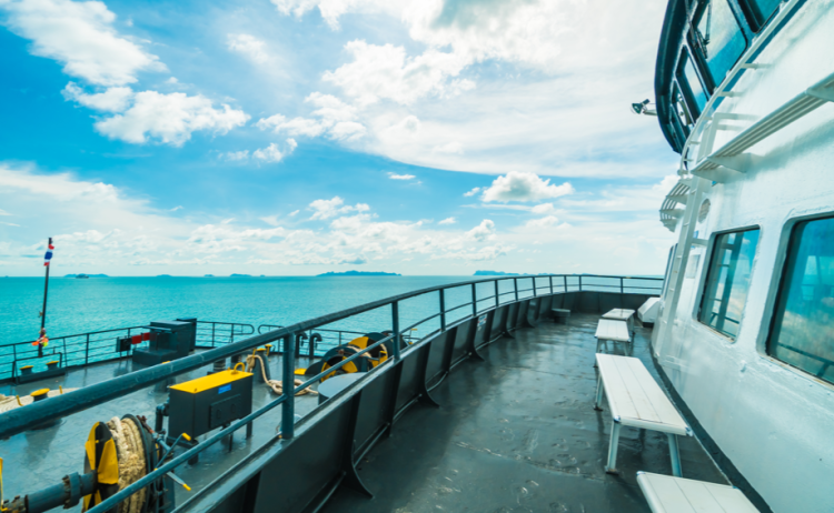 Теплоход "Касимов" перевозил пассажиров с нарушениями в Рязанской области