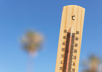 Во вторник в Рязанской области ожидается 30-градусная жара