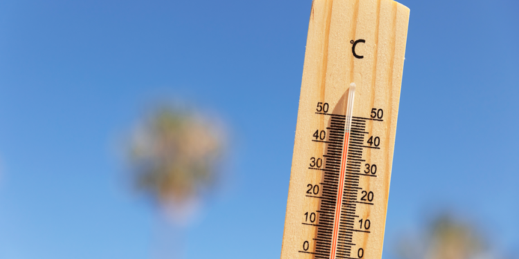 Во вторник в Рязанской области ожидается 30-градусная жара